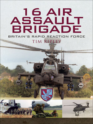 cover image of 16 Air Assault Brigade